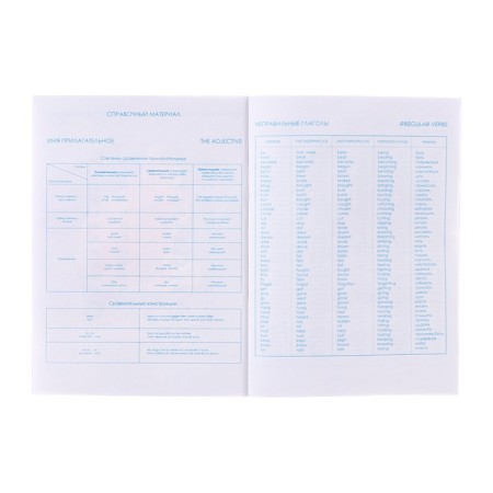 Notebook for recording foreign words a6 24l capybara, regional charts, BL of 65g/m²-2