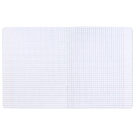 Notebook in a cage 24 sheets, 5 types of mix, cover coated cardboard, gravity farz-1