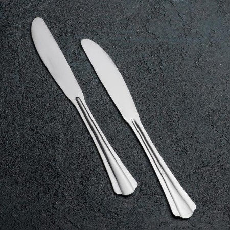 Controlle knife "New", length = 19 cm, thickness 1.2 mm, silver color