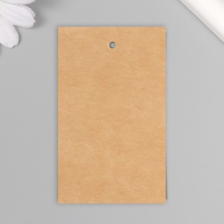 Tag without print Craft two -sided 8x5 cm-3