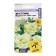 Eustoma Mariachi Flows "Laim Green", this. Alt, c/n, 5 pcs