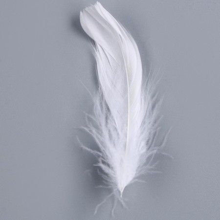 Set for creativity and decor "Features of white + filler", green color-2