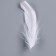 Set for creativity and decor "Features of white + filler", green color