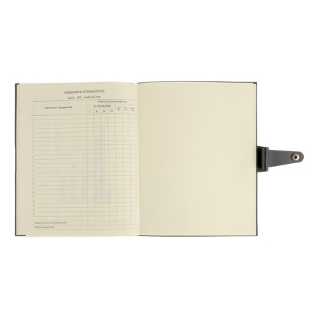 Universal diary for grades 1-11 Favorite, integrated artificial leather cover on the button, embossing foil, liesse, 48 sheets-3