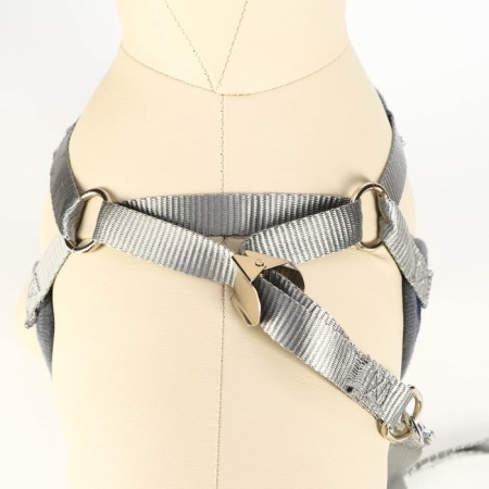 A set of ammunition with a soft harness, s, leash 120 x 1 cm, Osh 20-40 cm, og 30-44 cm, gray-4