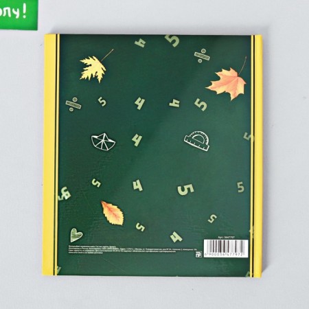 Photo book "First -grader album"-16