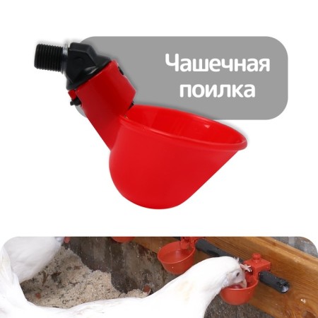 Pinocchio bowl for poultry, with a fitting fitting 10 mm, Greengo
