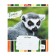 Notebook of 18 sheets in the Erichkrause Lemur Style line, cover coated cardboard, offset block, mix