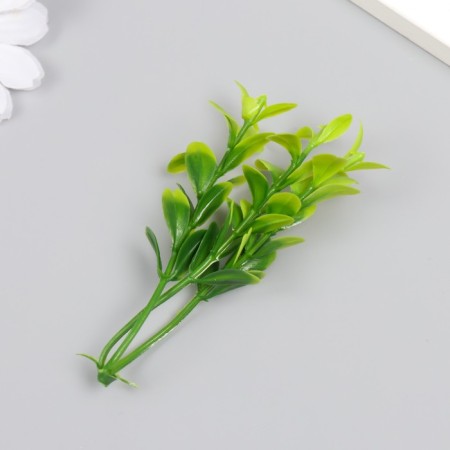 Artificial plant for creativity "A twig with eucalyptus leaves" set of 12 pcs 8.5 cm-2