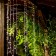 Garden Curtain on the Solar Battery Uniel, IP44, 1.5 m, warm white