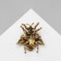 Brooch "Fly" is large, the color is dark blue in black gold