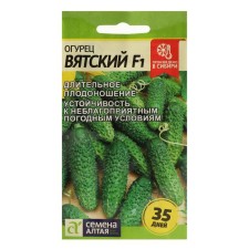 Cucumber seeds 