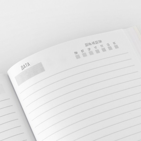 New Year. Diary in the thin cover A5, 80 liters "Dissatisfied face"-3