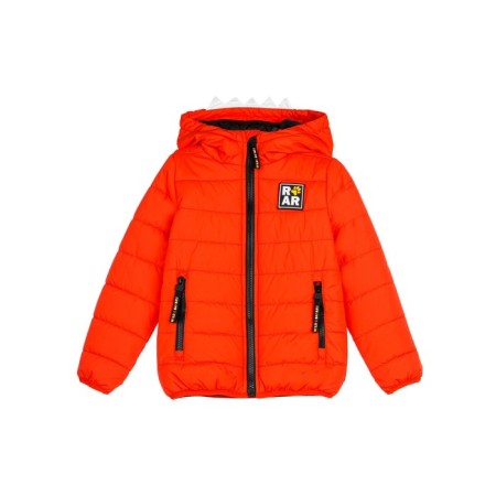 Demisason jacket for a boy PlayTode, height 122 cm-6