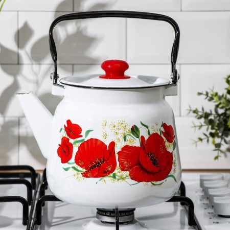Maki kettle, 3.5 l, enameled cover, induction, white color-4