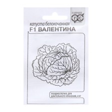 Cabbage seeds Belokoch. 
