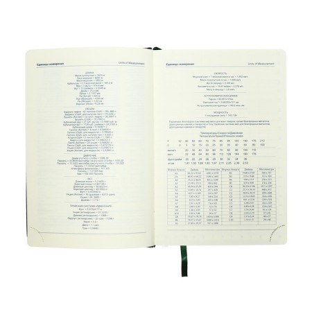 Delivery of a low -end A5, 136 sheets in a ruler, leatherette "Nebraska", gold cut, green-10