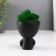 Kashpo concrete mini "Mr. Green in anticipation" with moss black 5.5x7x7 cm (moss green stabiliz)