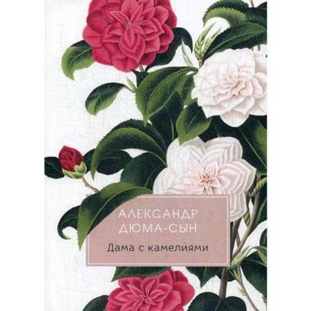 Lady with Camellia: Roman. Dumas A.