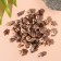 Natural decorative shells "Zebra" set 100 grams