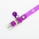 A collar of frost -resistant soft plastic "Paws", 28, 5 x 1 cm, a mix of flowers
