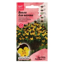 Viola flowers 