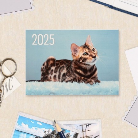 Pocket calendar "Animals" 2025, 7 x 10 cm-3