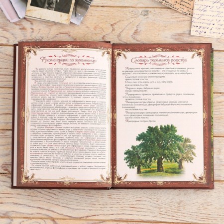 The genealogy book in the box with a pen and ink “Tree”, 56 sheets, 26 x 24 x 7 cm.-3