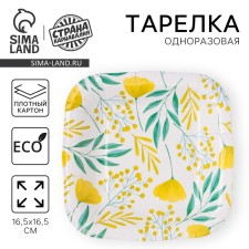 Plate plate disposable square 