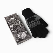 Men's gloves in a gift box 
