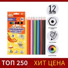 Pencils of 12 flowers Calligrata, economical, sharpened, hexagonal, plastic, cardboard packaging, euro suspension