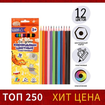 Pencils of 12 flowers Calligrata, economical, sharpened, hexagonal, plastic, cardboard packaging, euro suspension