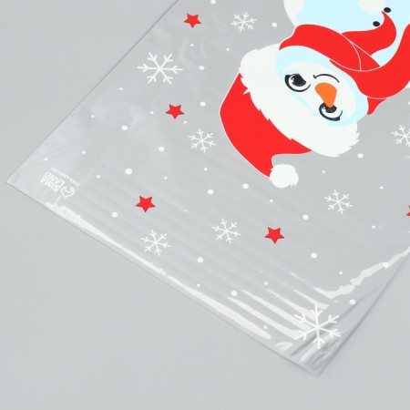 Plastic package "Snowman", 20 x 30 cm, new year-3
