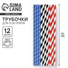Paper tubes 12 pcs 