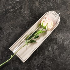 Package-cone for flowers, 