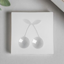 Mold Silicon 