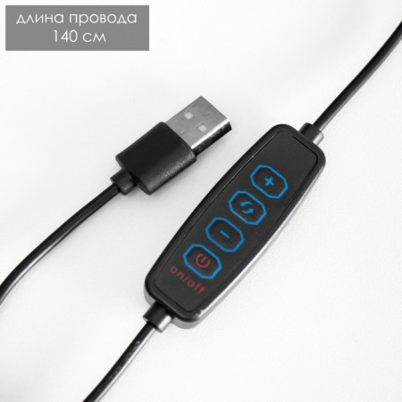 LED LED LED 4W USB 3000-6000K Black 14.5x23x38.5 cm Risalux-11
