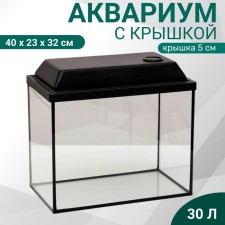 Aquarium 