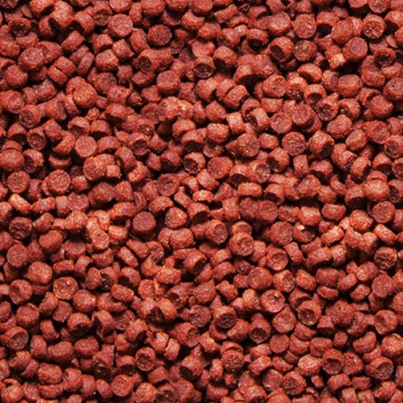 Sera Red Parrot food for red parrots, 1000 ml, 330 g-1