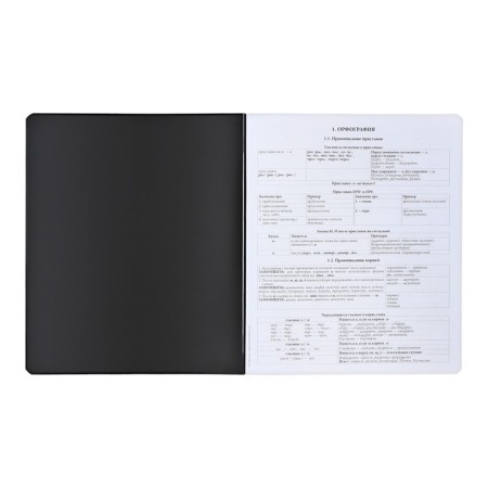 Subject notebook, 48 sheets, ruler, Russian language Erichkrause "Ves in the root", plastic cover silk-screen covers, Block OFSET 100%, information block-3