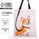Corgi chover bag 35x0.5x40, department without lightning, without lining, beige