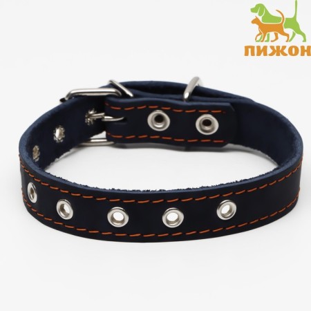 The collar is a single-layer leather, dimensionless, 56 x 2.5 cm, Osh 17-44 cm, blue