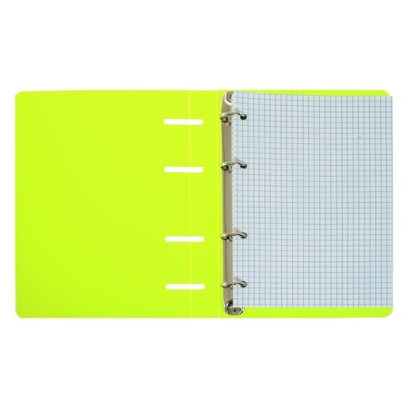 Notebook on rings A5 80 sheets in Calligrata cage, salad, plastic cover, offset unit-2