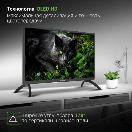 TV DIGMA DM-LED24MBB21, 24 ", 1366x768, DVB-T/T2/C/S2, HDMI 3, USB 2-9
