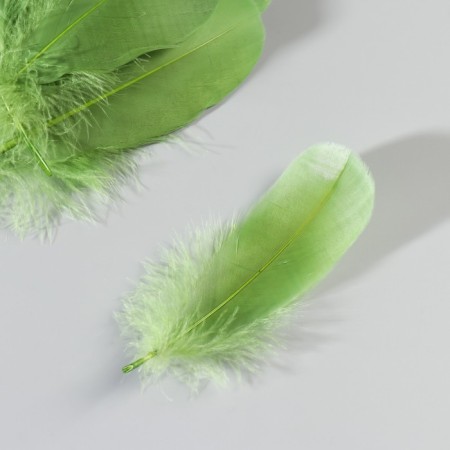 A set of feathers of the goose 13-18 cm, 20 pcs, army green-3