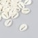 Beads for creativity Plastic "Pearl Invaluity shells" set 40 pcs 0.5x1.2x1.5 cm