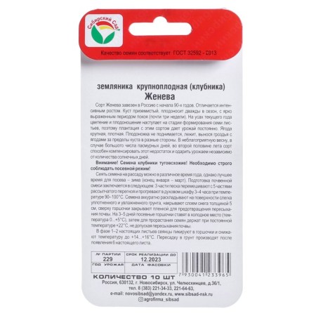 Strawberries "Geneva", 10 pcs-2