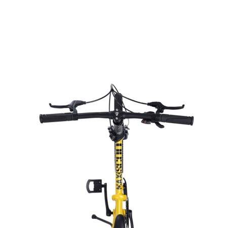 Bicycle 20 ’’ maxiscoo s009, yellow color-5