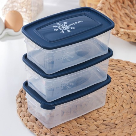 A set of rectangular containers for freezing Morozko products, 1 l, 3 pcs, color mix-5
