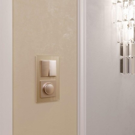 Dimmer WL10-DM600, Shampan-2